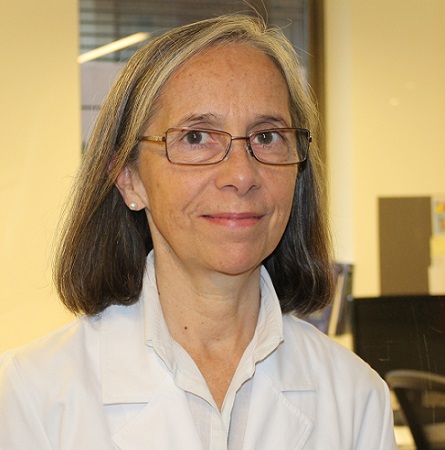 Dra. María Teresa Beroíza W.